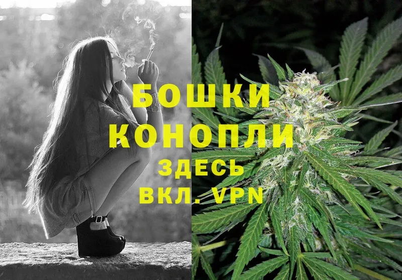 дарнет шоп  кракен как зайти  Шишки марихуана White Widow  Гаджиево 